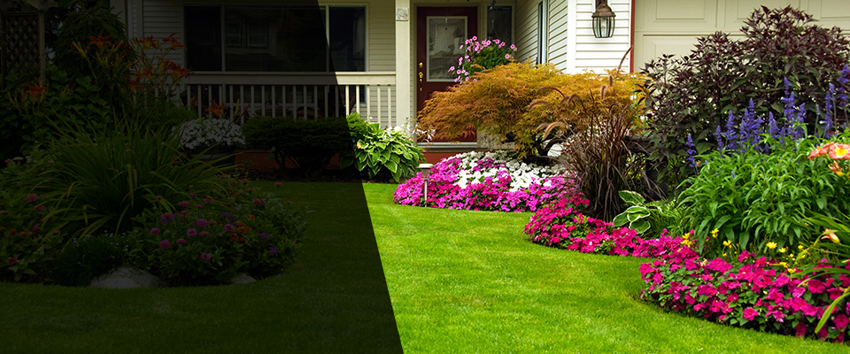 Beatrice Landscapers